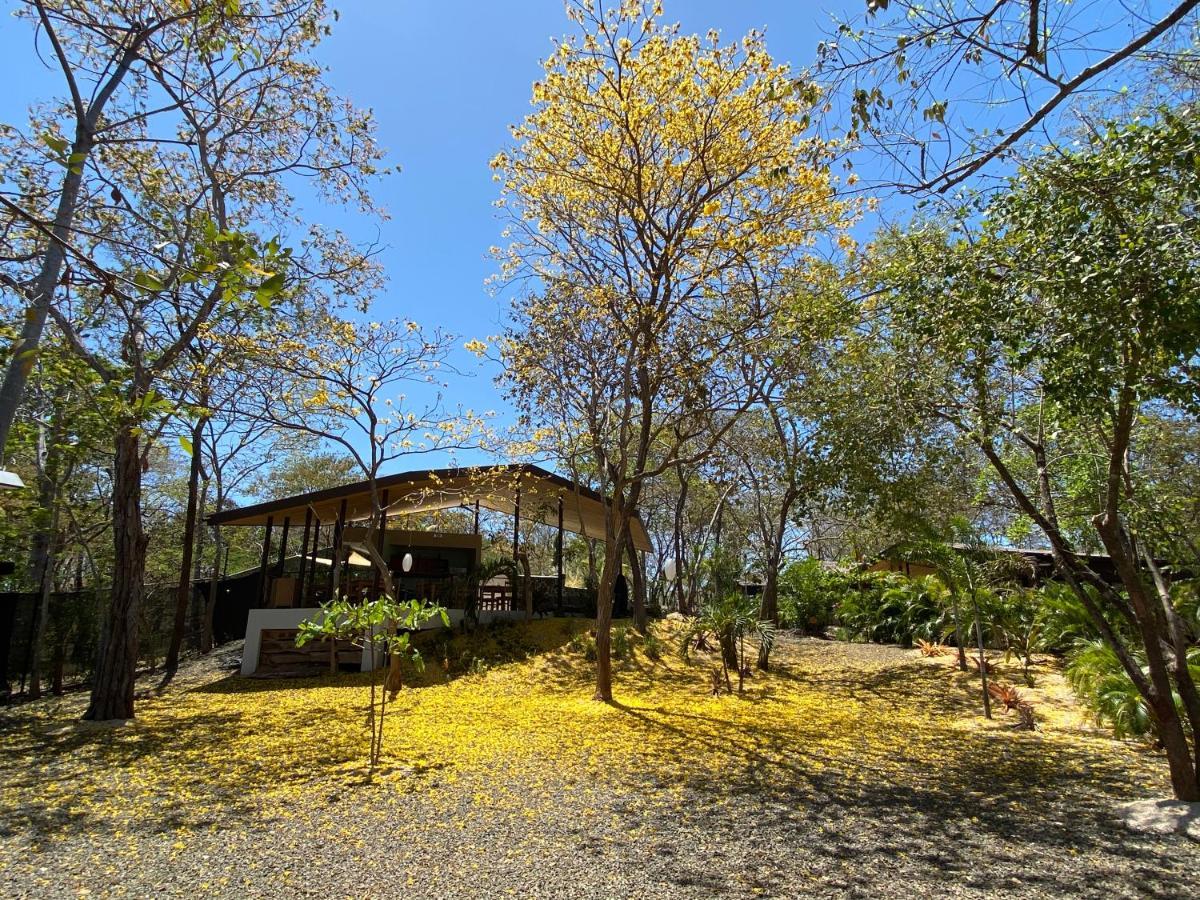 Villas Kalei Playa Grande Buitenkant foto